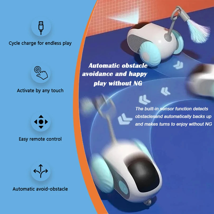 Interactive Pet Gravity Car Toy