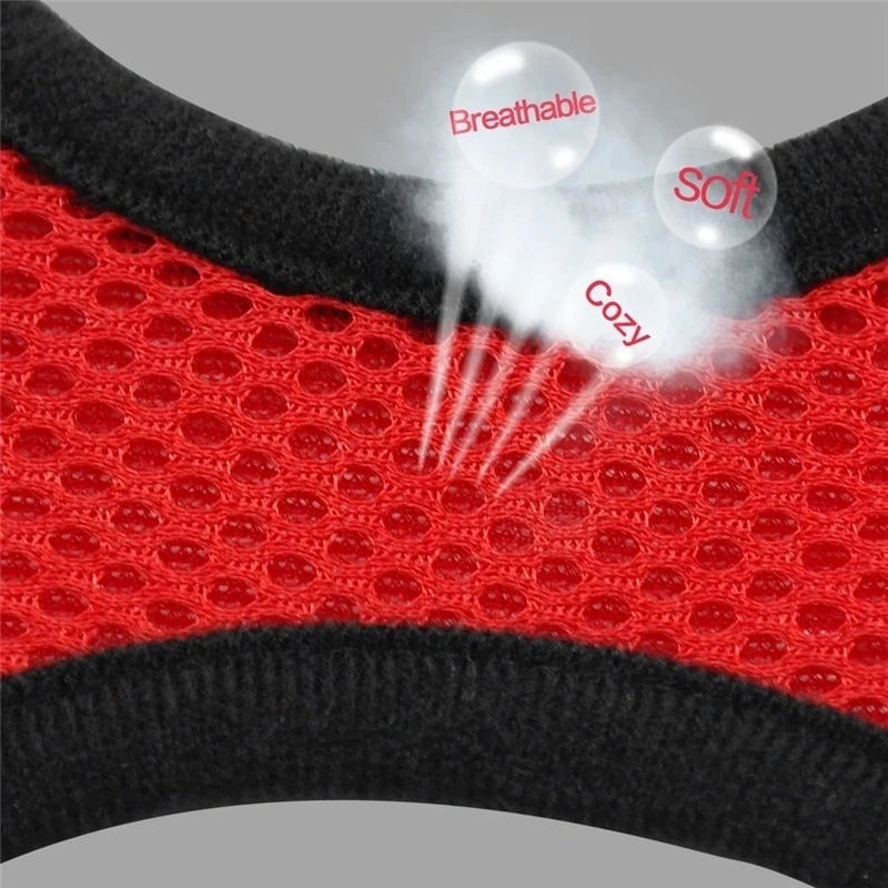 Breathable Pet Harness & Leash Set
